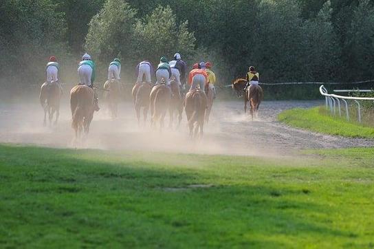 Uma Viagem no Tempo: A Evolução das Corridas Equestres no Brasil