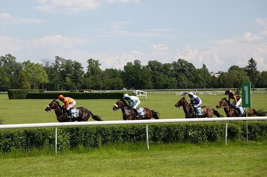 Explorando Altos e Baixos no Universo das Corridas Equestres